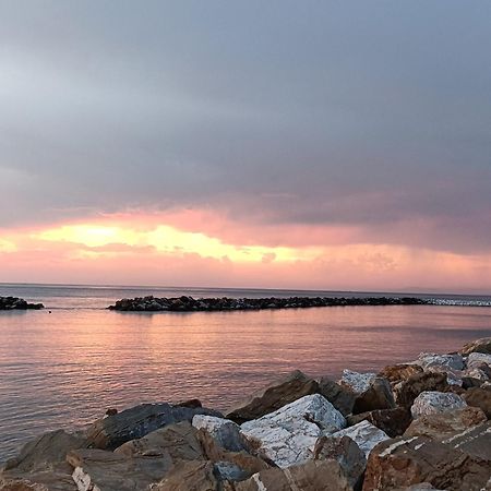 Casa Vacanze Marina Di Pisa Catola Eksteriør billede