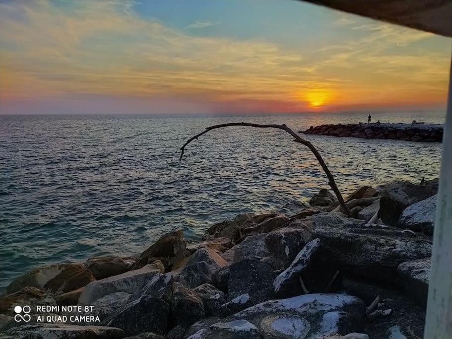 Casa Vacanze Marina Di Pisa Catola Eksteriør billede