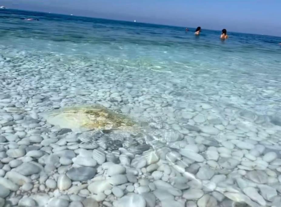 Casa Vacanze Marina Di Pisa Catola Eksteriør billede