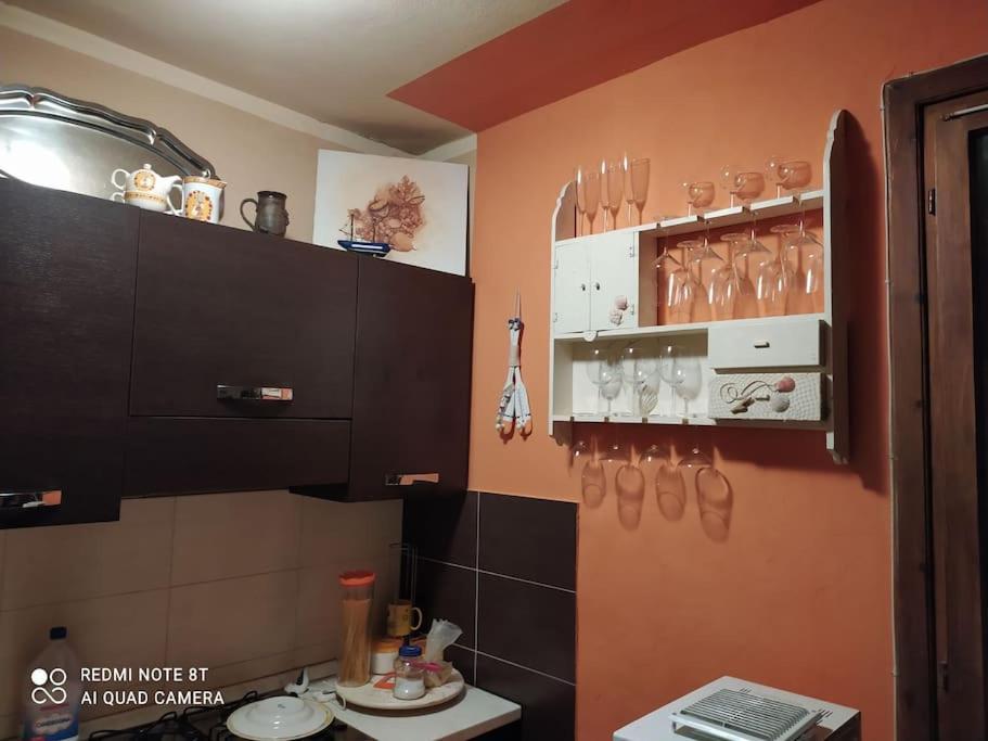 Casa Vacanze Marina Di Pisa Catola Eksteriør billede
